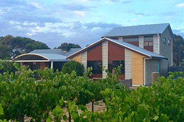 Azur Estate Wines Vineyard